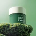 Descubre la forma de promocionar tus referidos